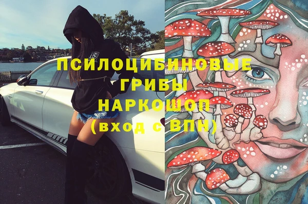 мдпв Ростов